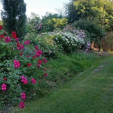 Bordeghina Bed & Breakfast 3*